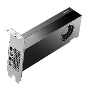   Nvidia RTX 2000 Ada Generation 16GB